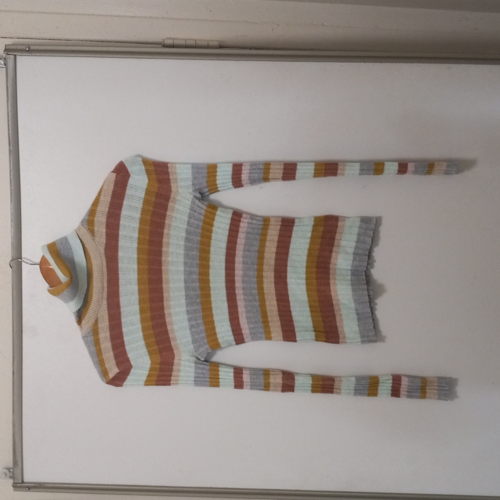 American Eagle Turleneck